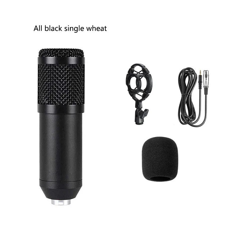 BM800 condenser microphone with large pop filter on a metal desk stand and shock mount.