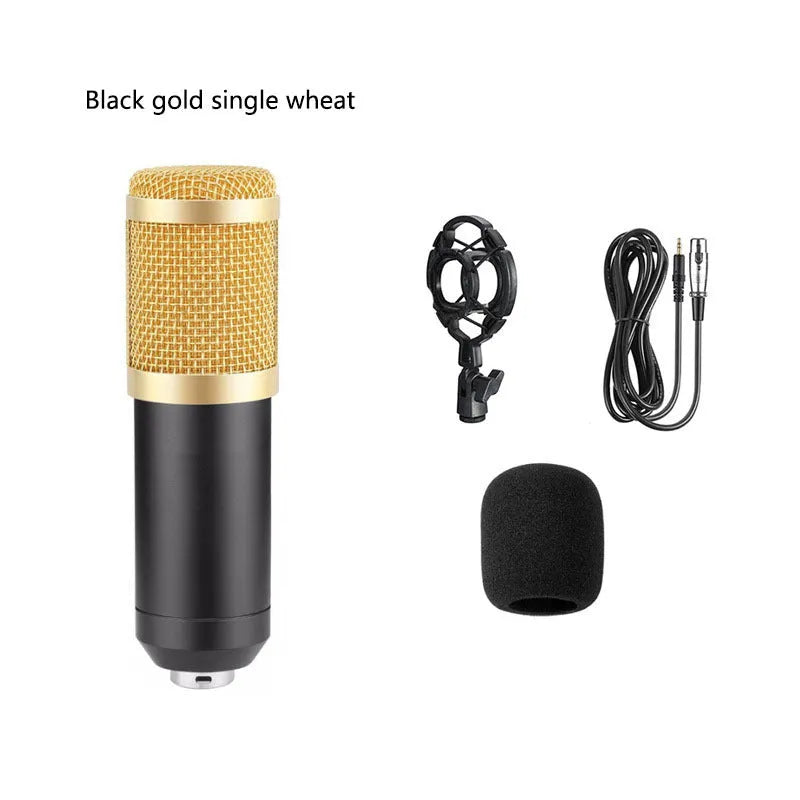 BM800 condenser microphone with large pop filter on a metal desk stand and shock mount.