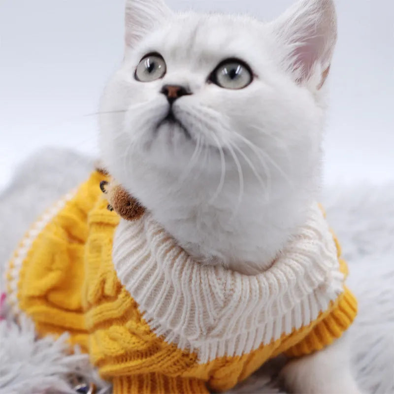 Classic knitted pet sweater for small dogs and cats in pink with twist button design
