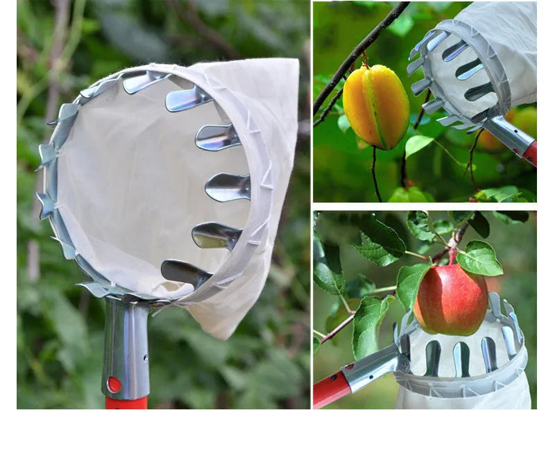 Steel fruit picker tool with attached cloth catcher basket for garden harvesting