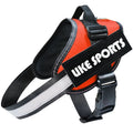 Reflective dog leash and harness set in black, adjustable chest strap, polyester material, sizes XS to 2XL