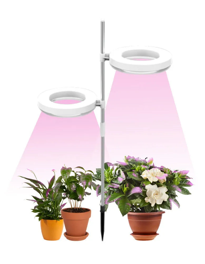 Flexible gooseneck LED plant growth lamp with a black base on a wooden desk next to a green houseplant.