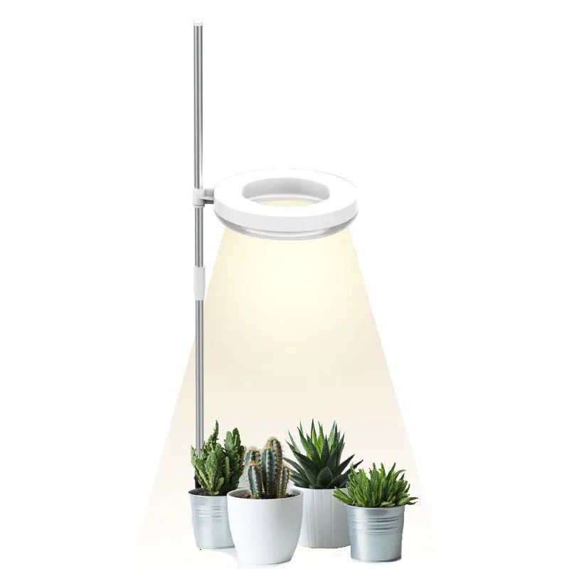 Flexible gooseneck LED plant growth lamp with a black base on a wooden desk next to a green houseplant.