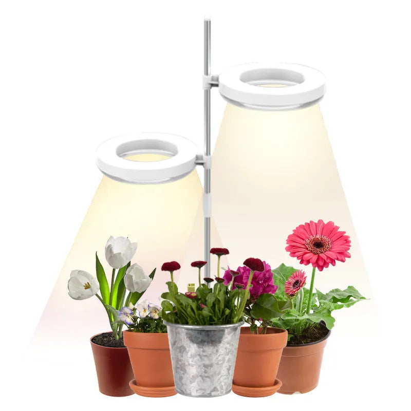Flexible gooseneck LED plant growth lamp with a black base on a wooden desk next to a green houseplant.