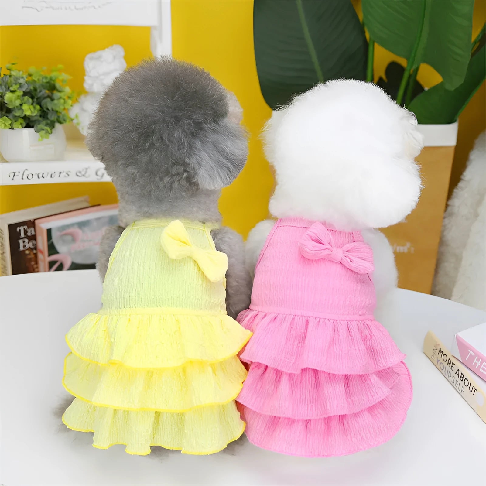 Small dog wearing princess dress with candy-layered skirt in rose red, yellow, or water green colour