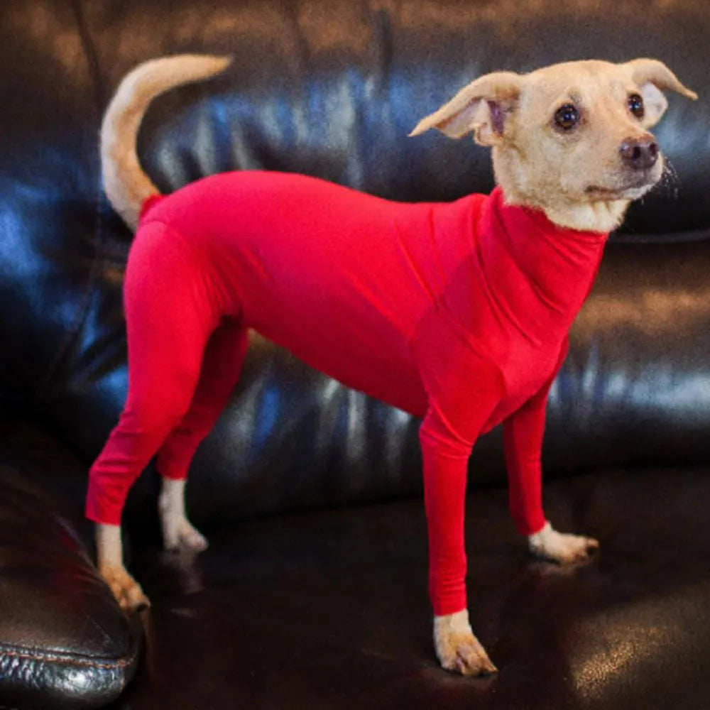 Super thick acrylic fibre dog jumpsuit in black on a medium large dog, showing full-body coverage