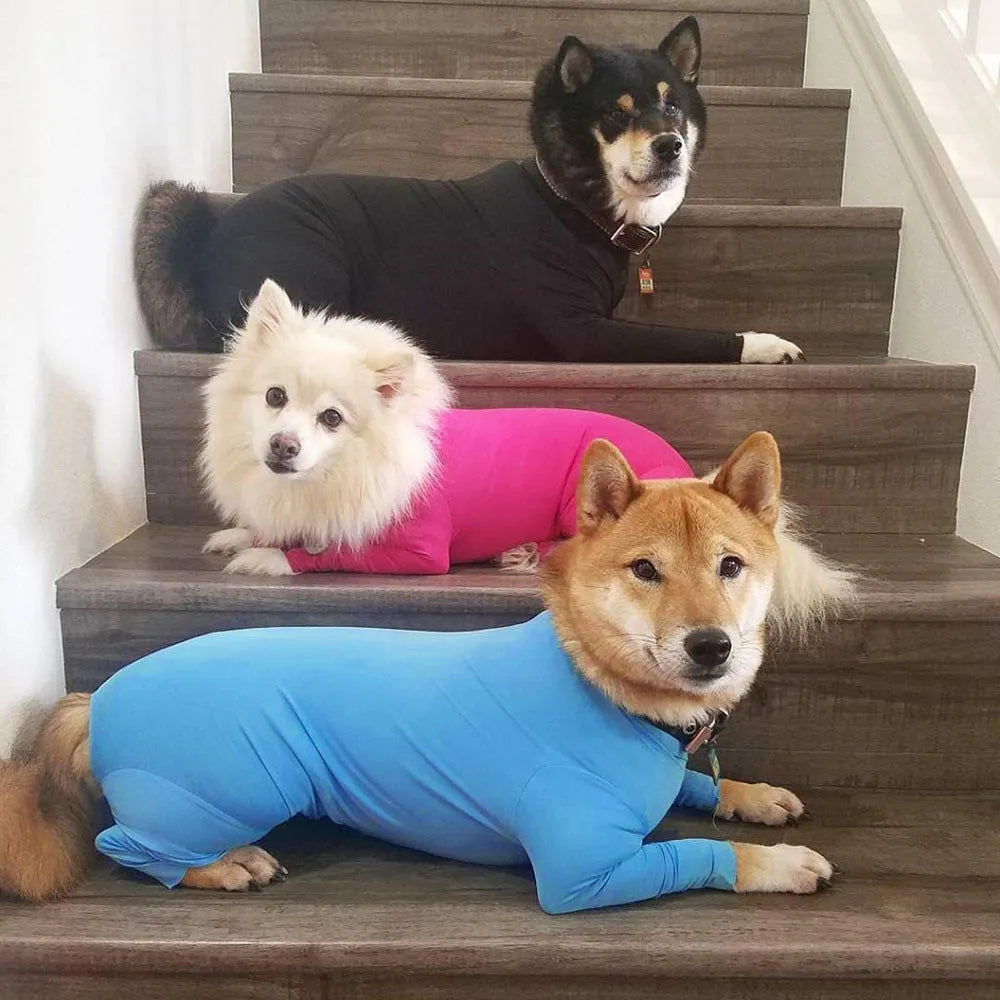 Super thick acrylic fibre dog jumpsuit in black on a medium large dog, showing full-body coverage