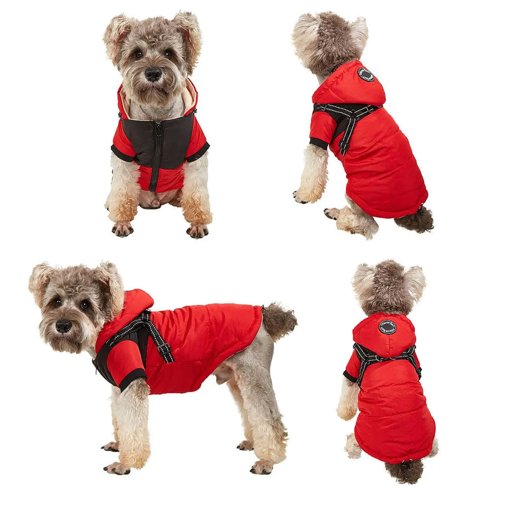 Waterproof warm pet dog coat with velvet lining, available in blue, gray, pink, red, sizes S to 2XL