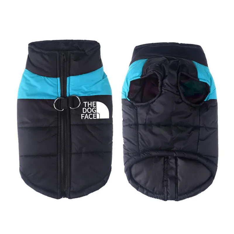 Waterproof dog coat winter thermal vest in blue cotton, size M, on small dog