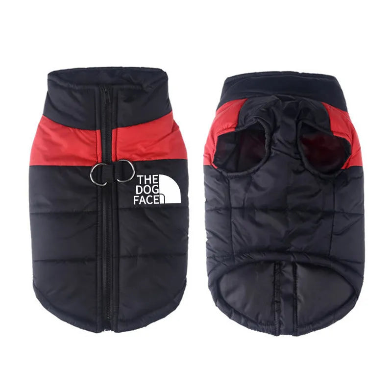 Waterproof dog coat winter thermal vest in blue cotton, size M, on small dog
