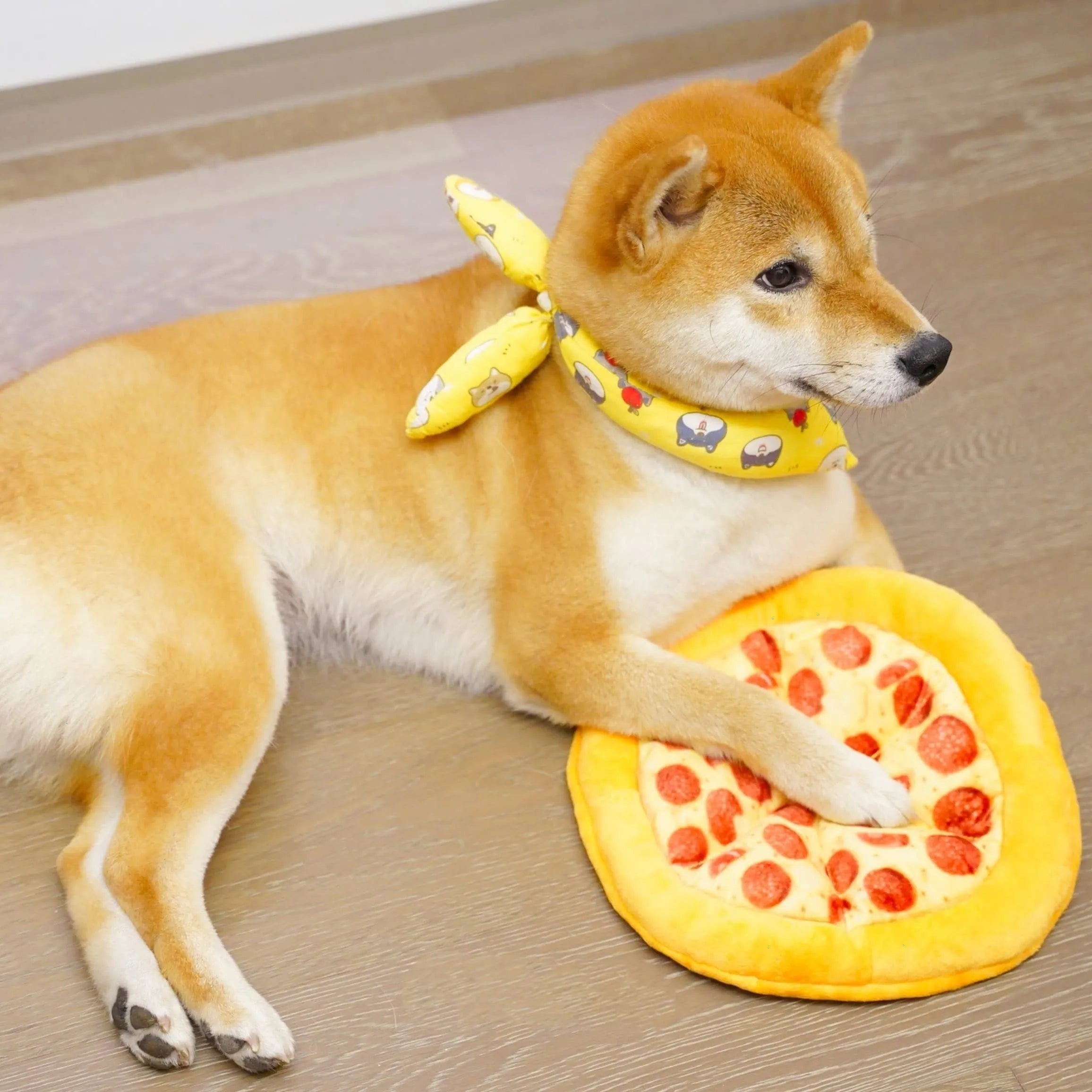 Yellow teddy bear shaped pizza dog chew toy with squeaker.