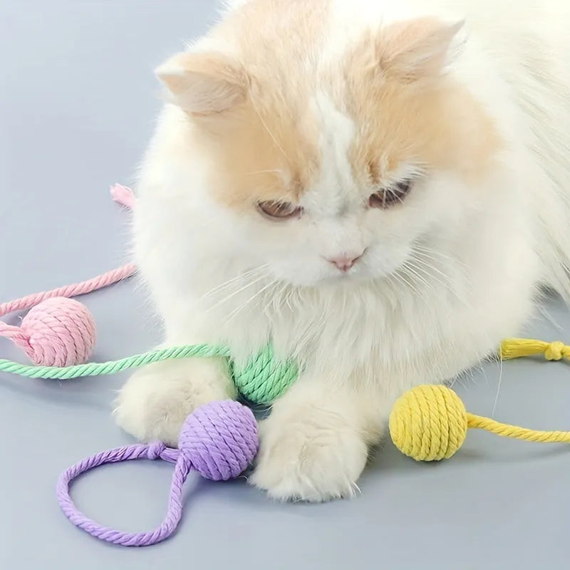 Cat toy ball with rope and bell in green pink purple yellow colours showing 3cm and 6cm size options