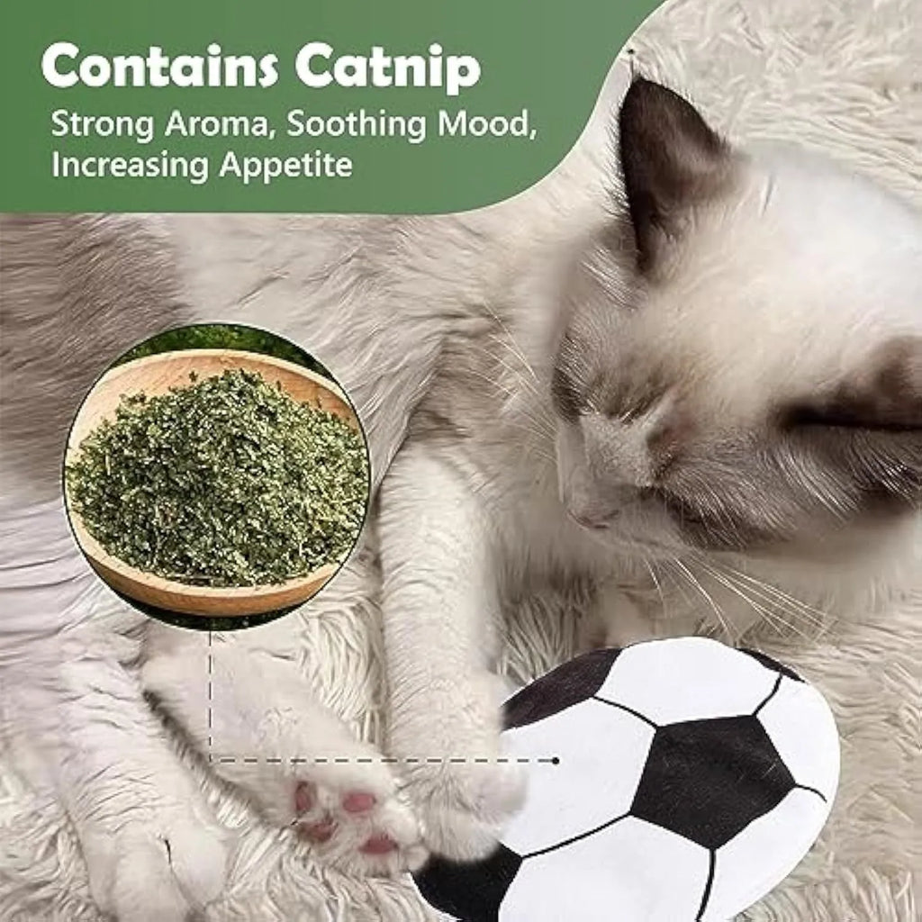Plush flying disc cat toy with catnip and mylar crinkle for indoor kittens and adult cats