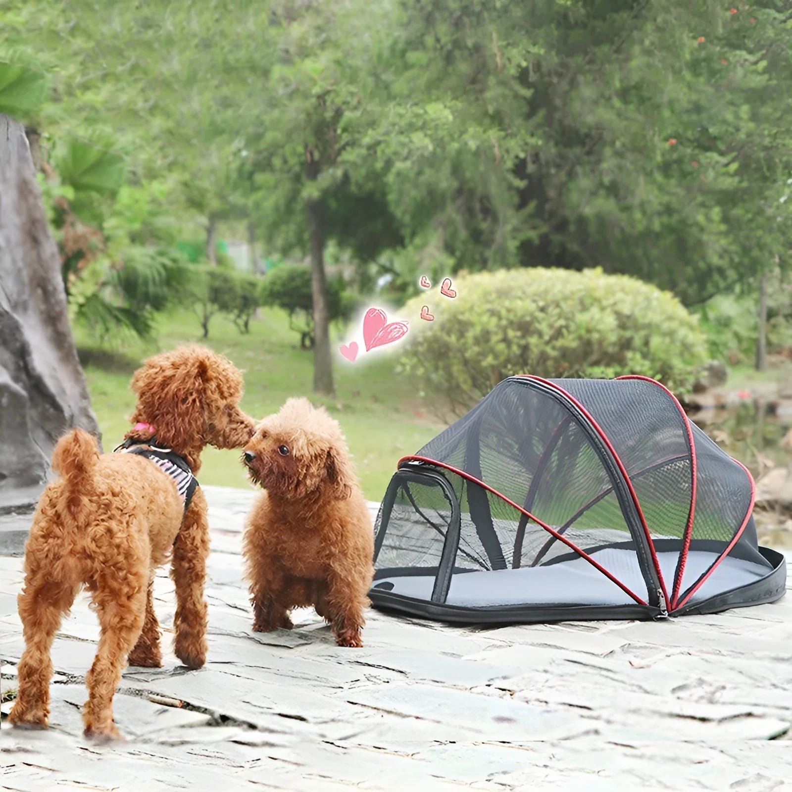 Black half mesh cat folding tent in collapsed position showing cloth and mesh sections