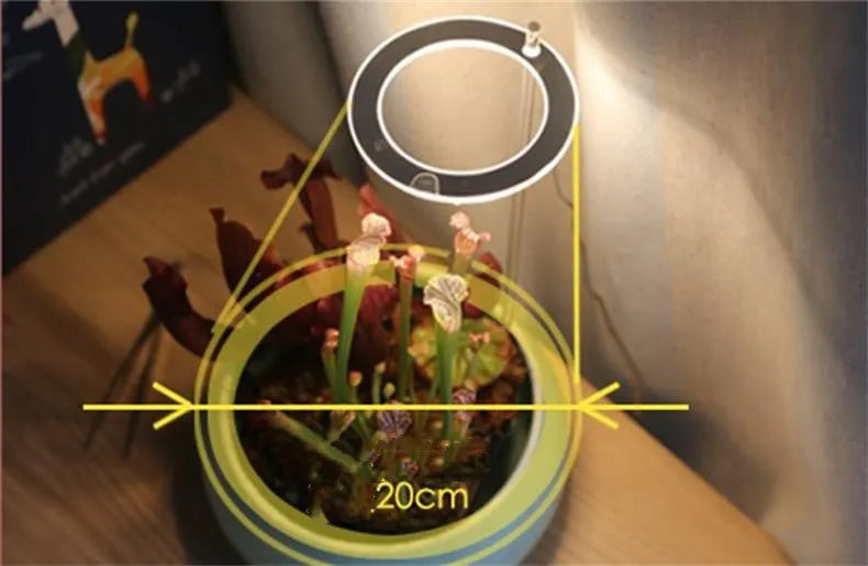 USB full spectrum LED plant grow light with acrylic stick on a table next to houseplants.