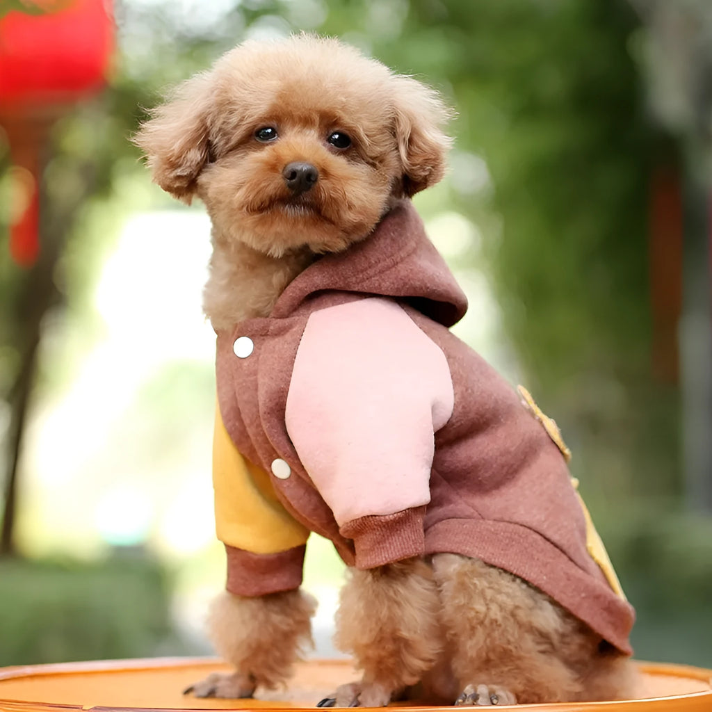 Brown cotton pet sweatshirt clothing for small dogs in various sizes