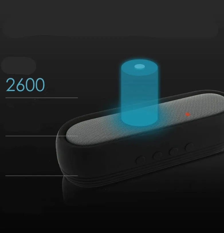 CRDCsmart S202C black portable wireless Bluetooth speaker with dual drivers and IP65 waterproof rating
