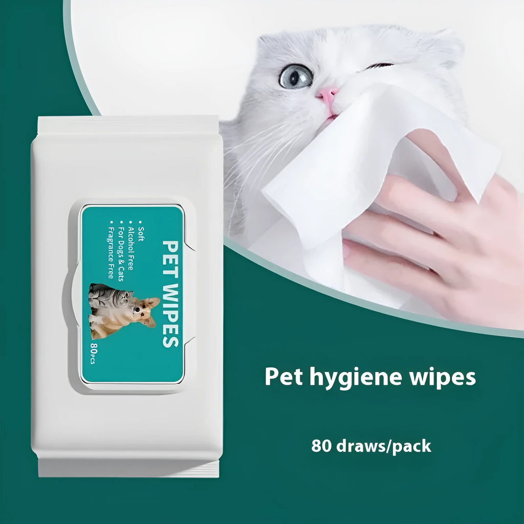 Pet disposable cleaning wipes pack with 10 draws for dogs and cats, neutral scent