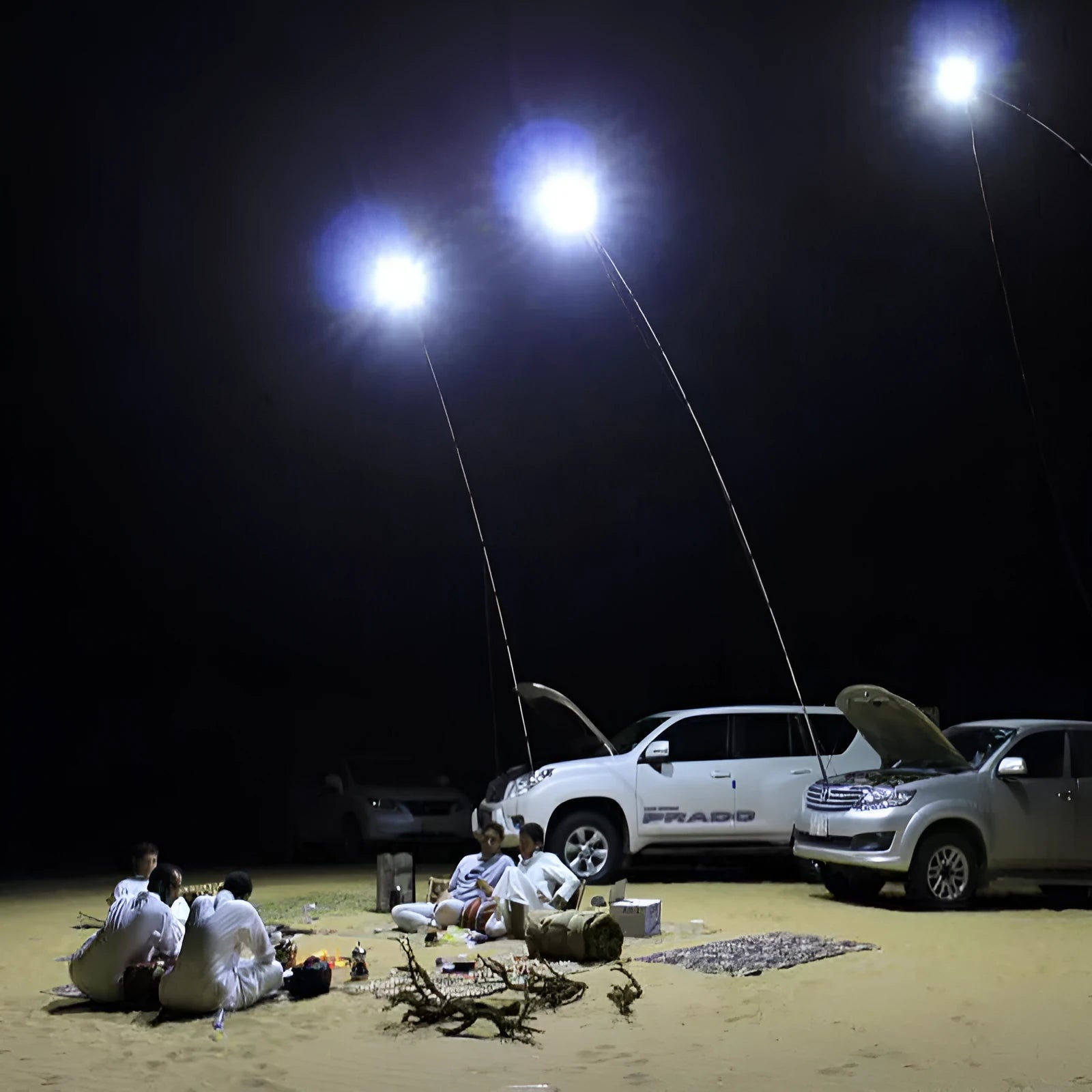 LED fishing rod light unit mounted on telescopic pole with remote control for outdoor lighting