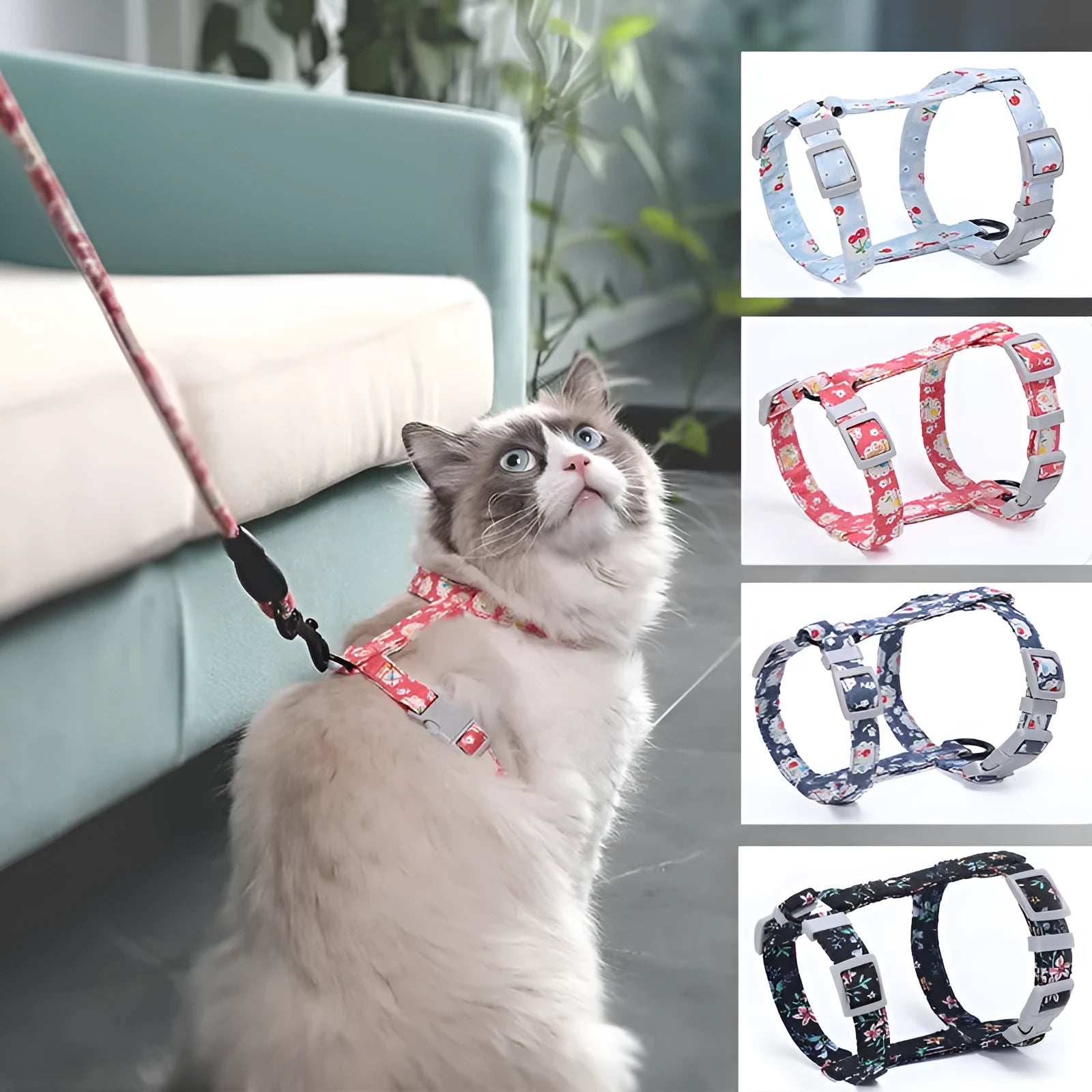 Cat I-shaped chest harness in black with metal buckle and 150cm cotton rope