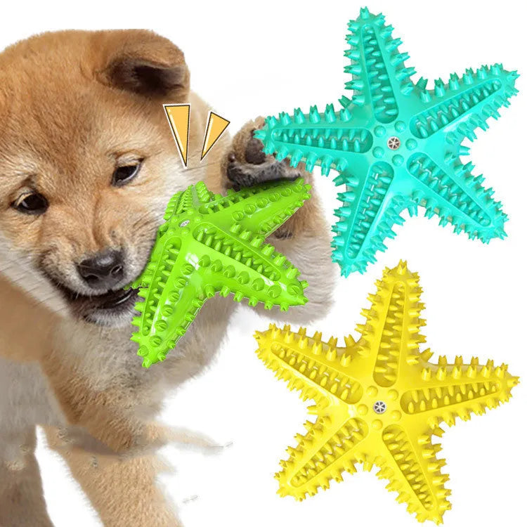 Starfish-shaped TPR dog toy in lake blue for dental cleaning and snack stuffing