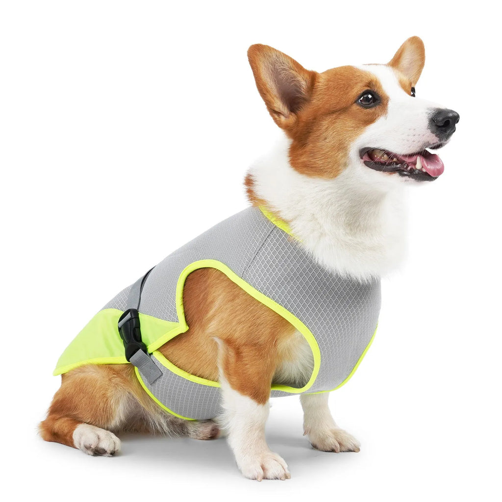 Light grey polyester dog cooling vest on a canine model, showing vest style and fit.