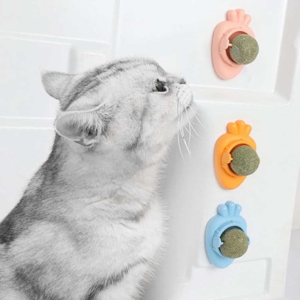 Four blue carrot-shaped catnip balls with self-adhesive stickers and protective cover