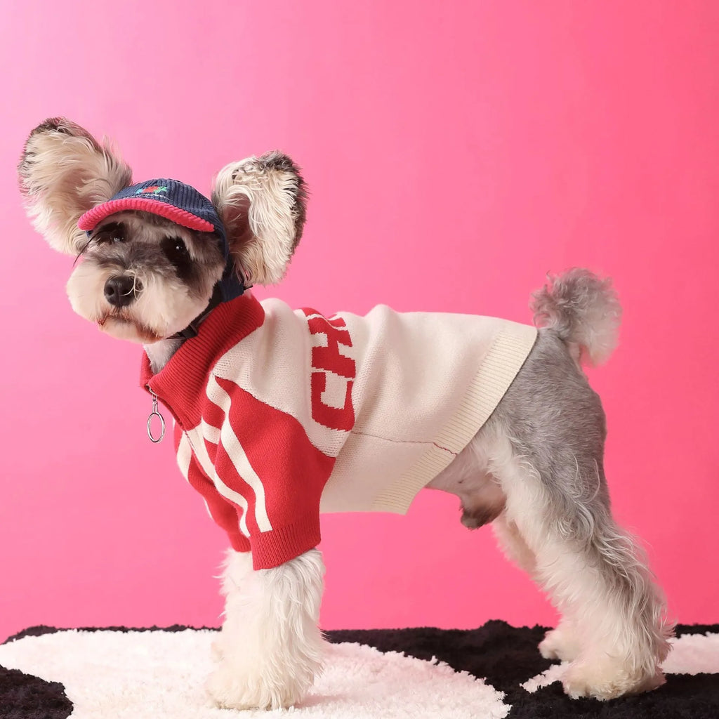 Red wool puppy dog sports sweater cardigan pet clothing on a dog