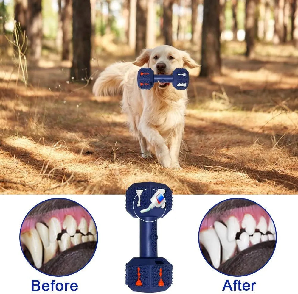 Black hollow dumbbell-shaped dog chew toy with textured ends on a plain background.
