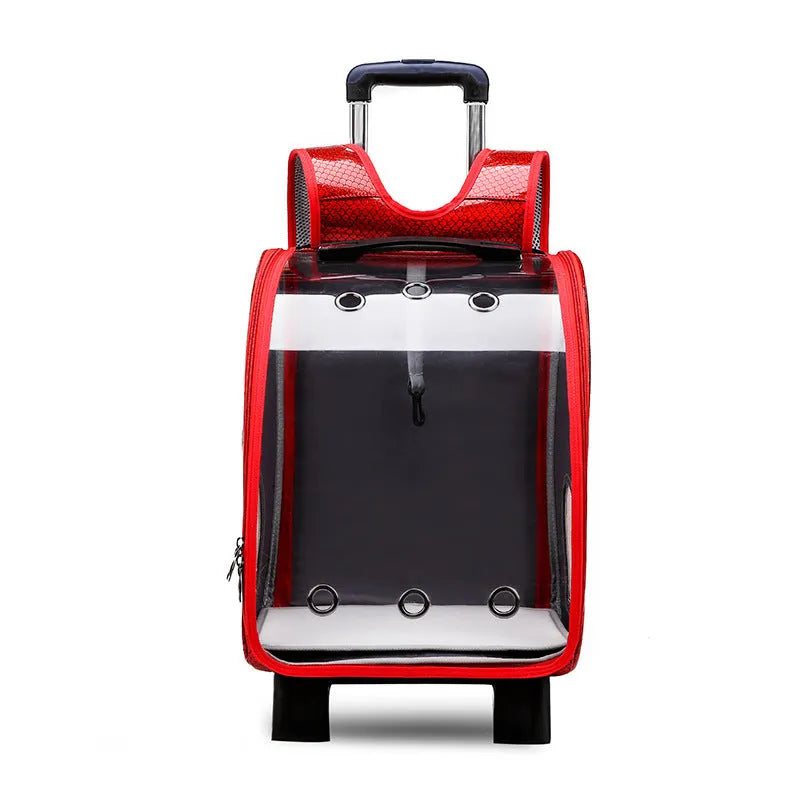 Transparent pet trolley carrier with folding design for small dogs and cats