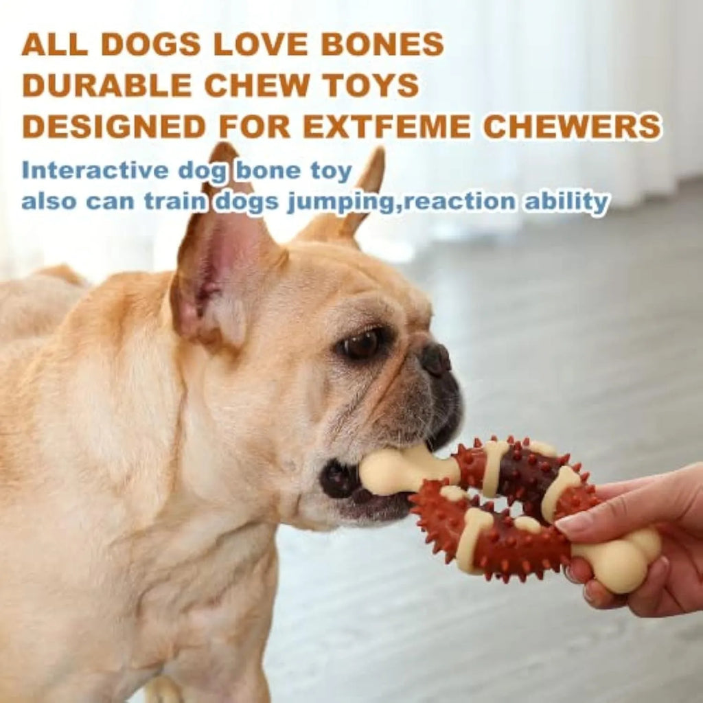 Natural rubber bone-shaped dog chew toy for teeth grinding in two size options