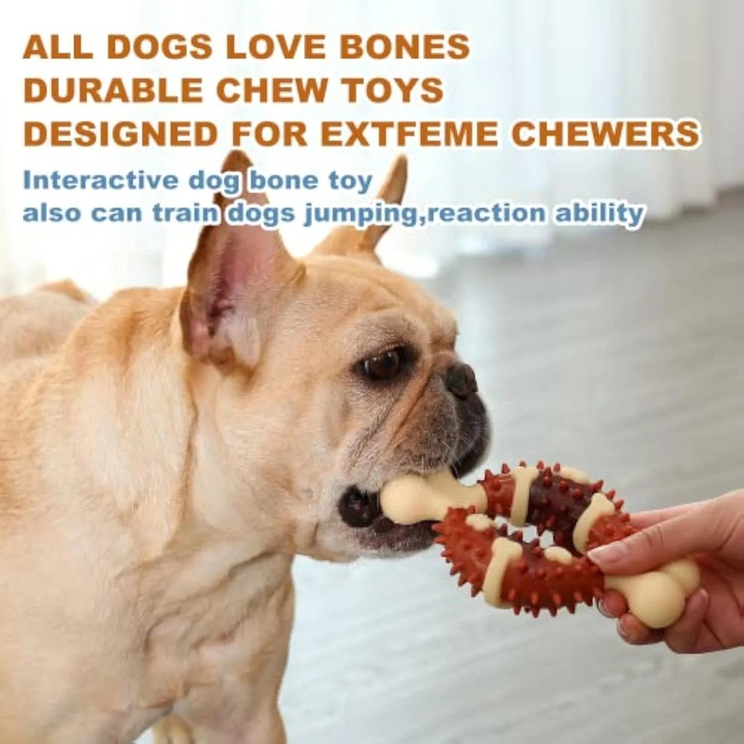 Natural rubber bone-shaped dog chew toy for teeth grinding in two size options