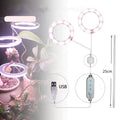 USB full spectrum LED plant grow light with acrylic stick on a table next to houseplants.