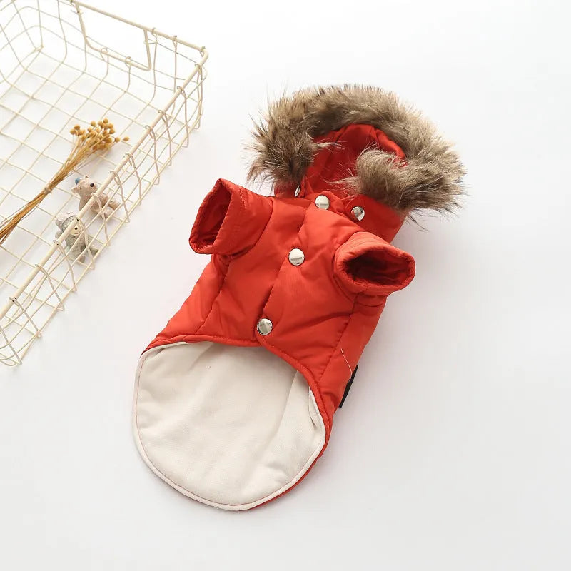Hooded cotton dog coat in beige with hood, on a neutral background, showing full body coverage