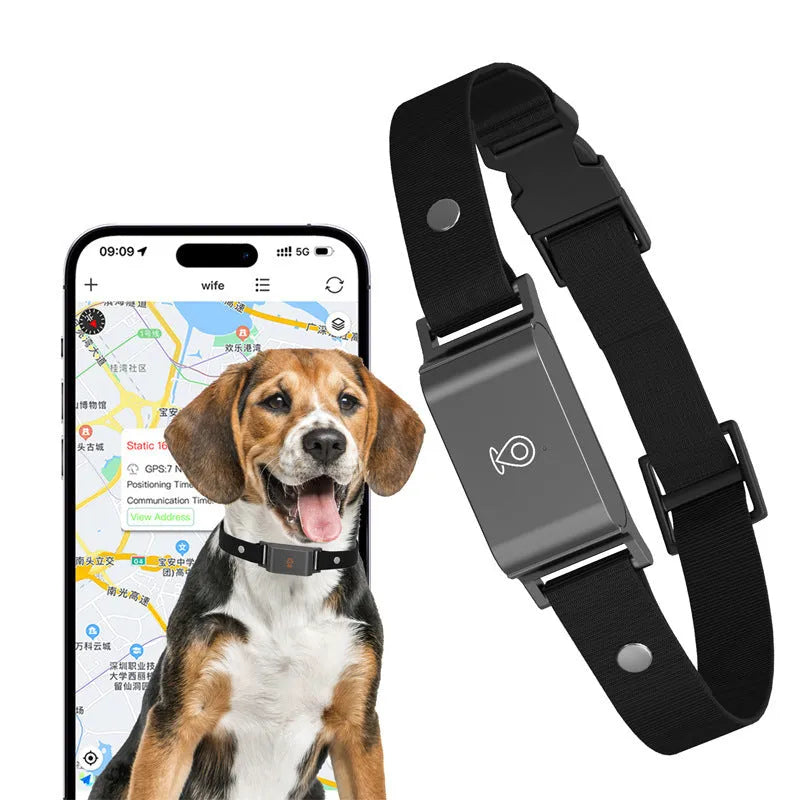 Pet GPS tracking collar locator in compact rectangular shape with ABS PC casing on a dog collar