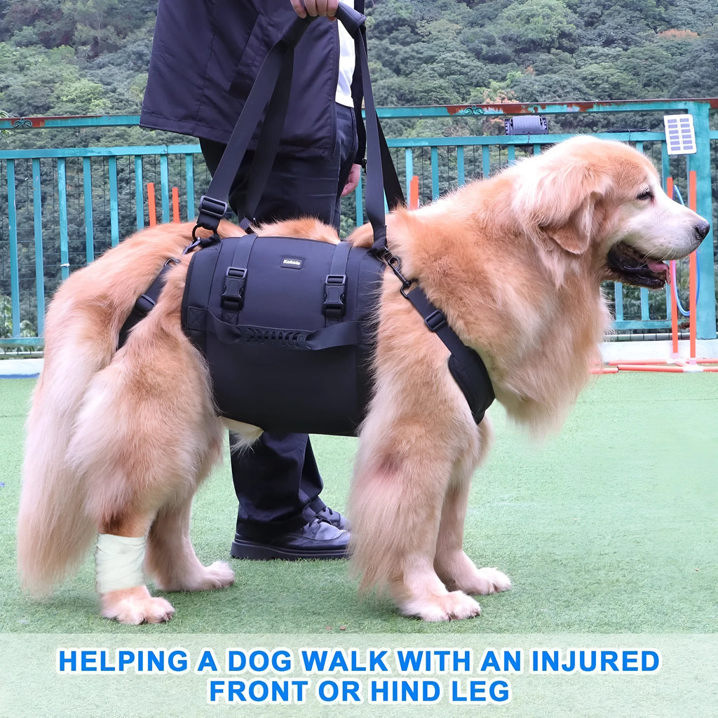 Black Oxford cloth dog harness with leg support for rehabilitation and outdoor walking