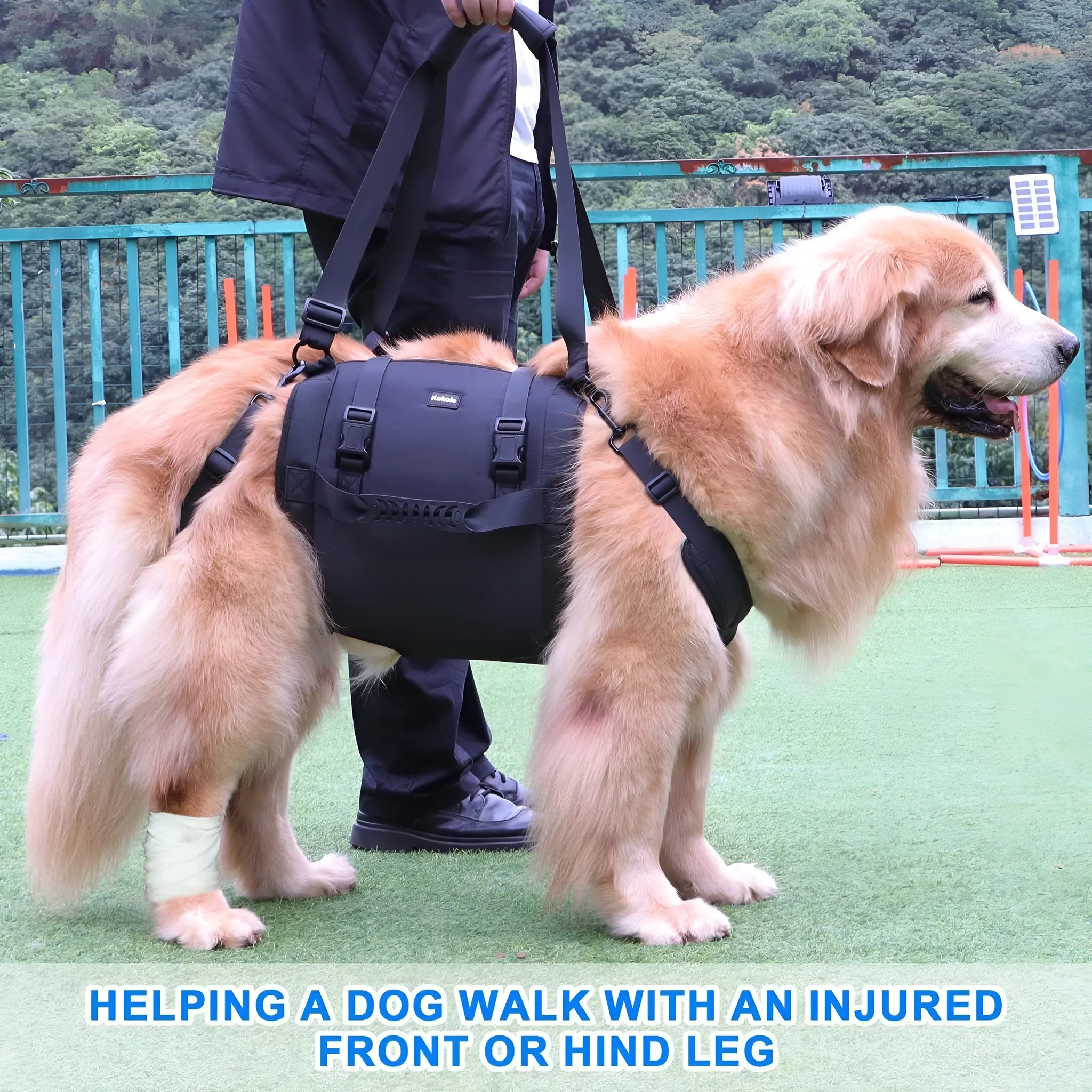 Black Oxford cloth dog harness with leg support for rehabilitation and outdoor walking