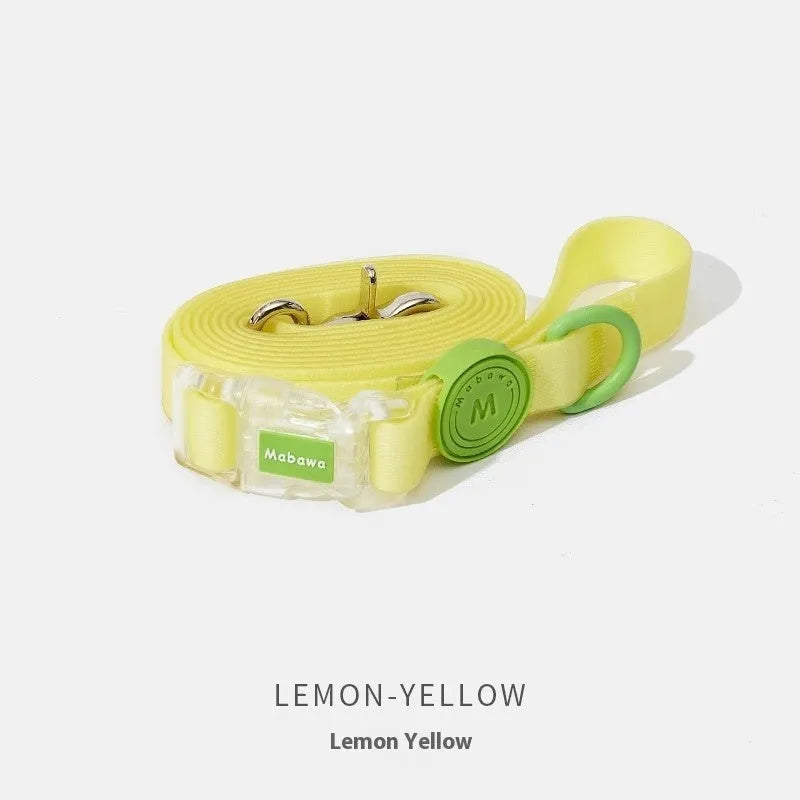 Nylon dog collar and hand holding rope set in smoky gray and lemon yellow colour options on white background