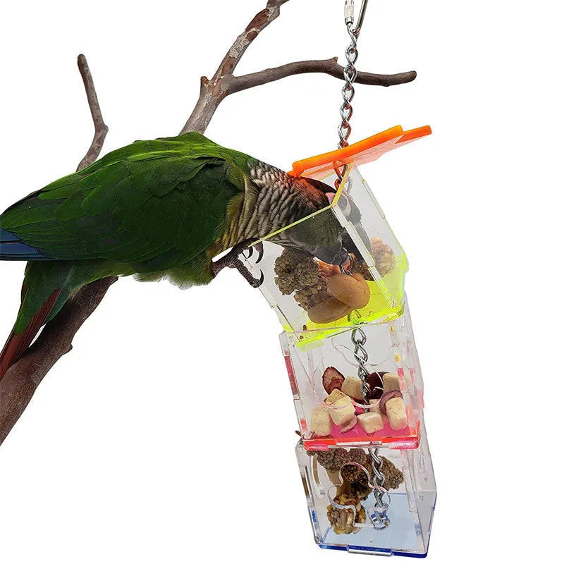 Clear acrylic bird foraging toy measuring 5x5x32cm with food compartments for parrot enrichment