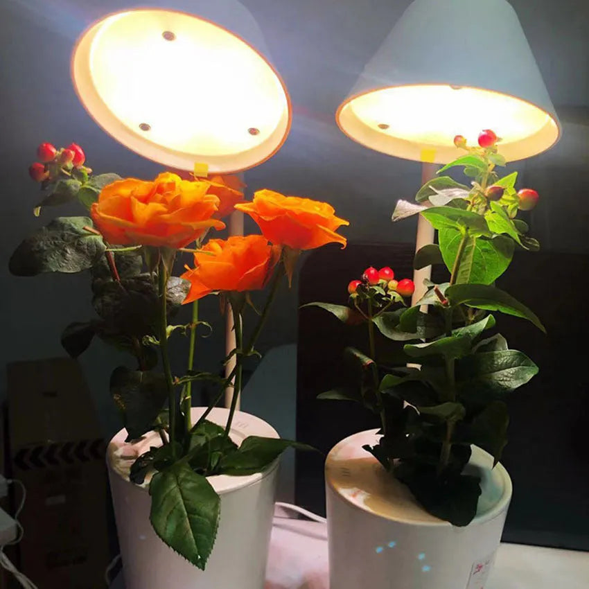 White plastic desktop hydroponic growing container for soilless plant cultivation.