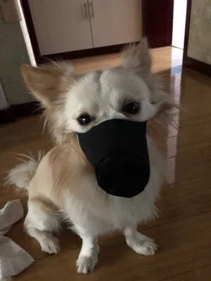 Adjustable black cloth muzzle for pets, side view showing strap and breathable material
