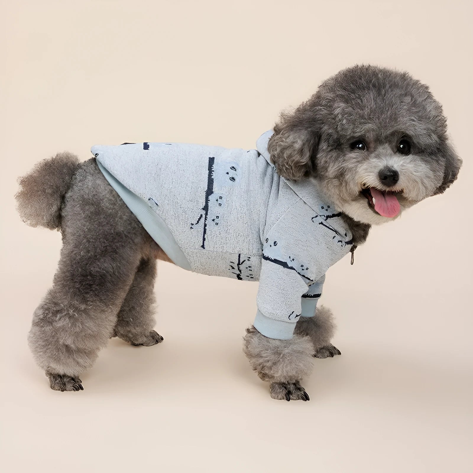 Blue patterned dog sweater with front zip on a small dog