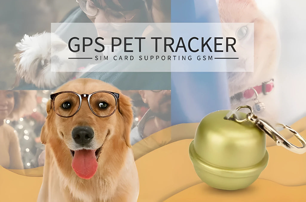 GPS dog collar pet locator tracker device in black, brown, green, and pink colour options