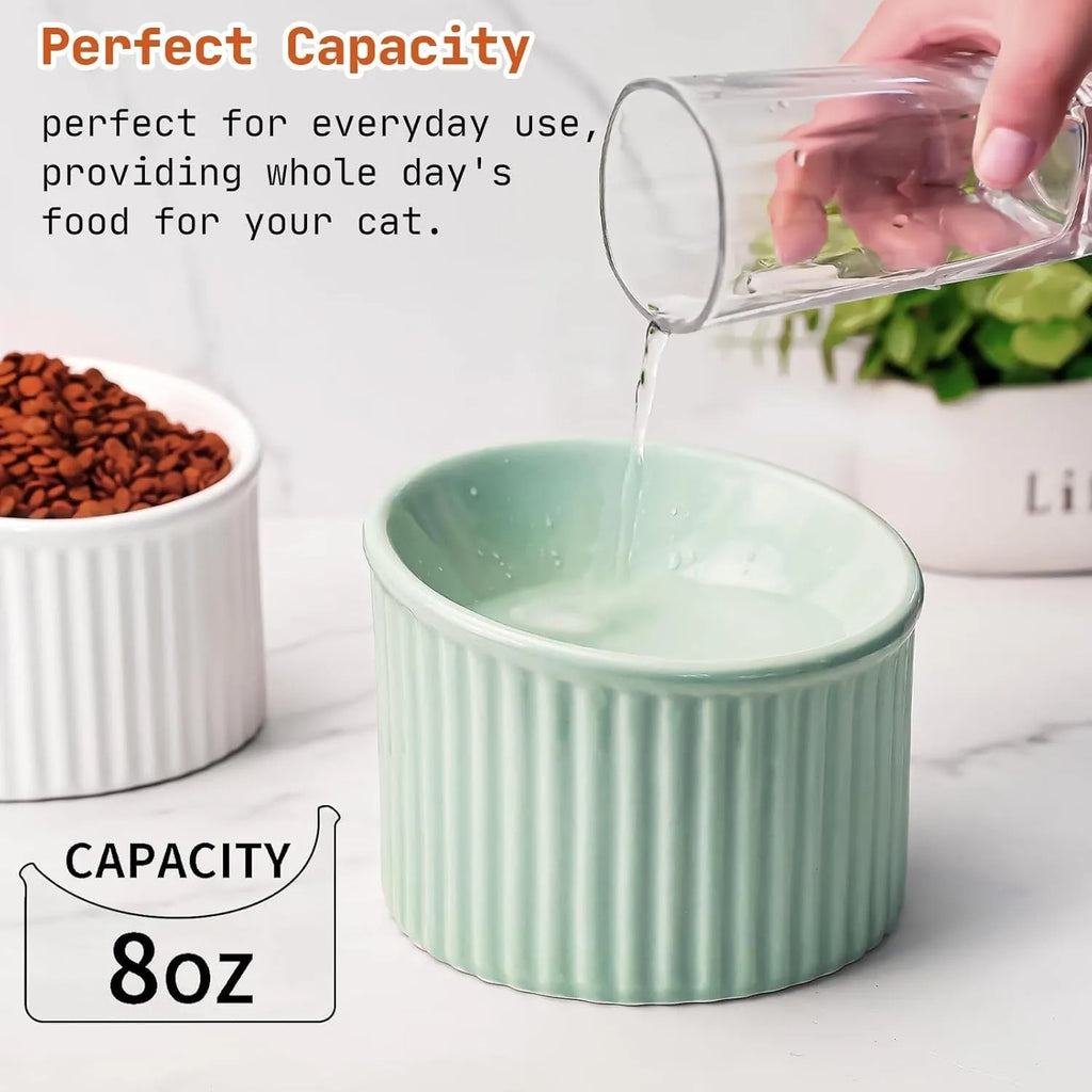 Ceramic elevated cat bowl in light green, showing its tilted, round shape and raised design on a table.
