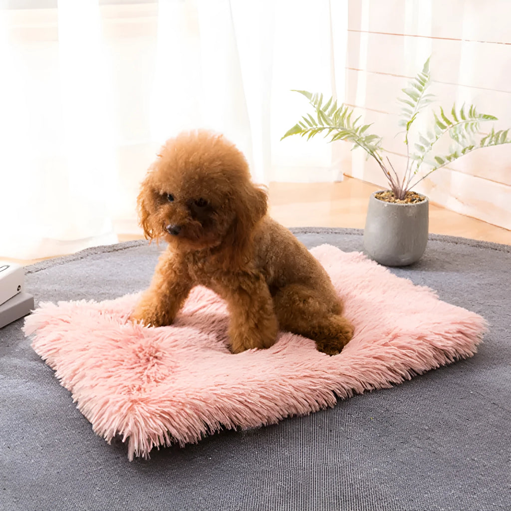 Plush pet nest in dark grey with anti-slip base, size M, on a wooden floor