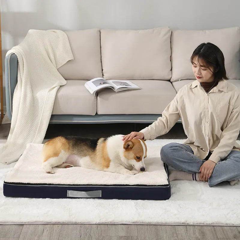 Removable washable memory sponge dog mat in brown, shown in a 100x75cm size.