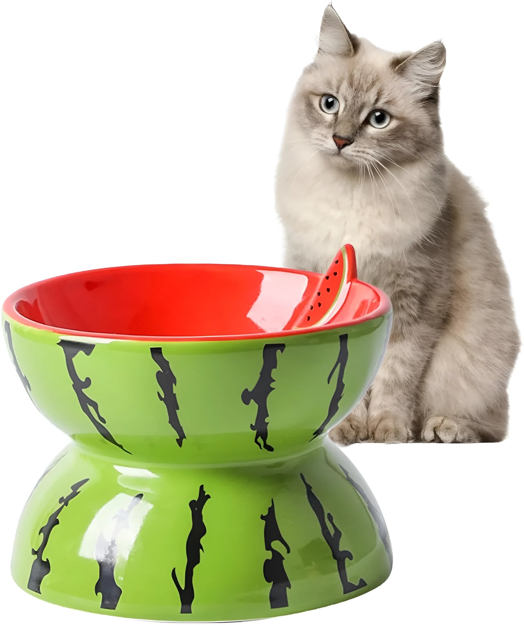 Orange patterned ceramic elevated cat bowl on a white surface