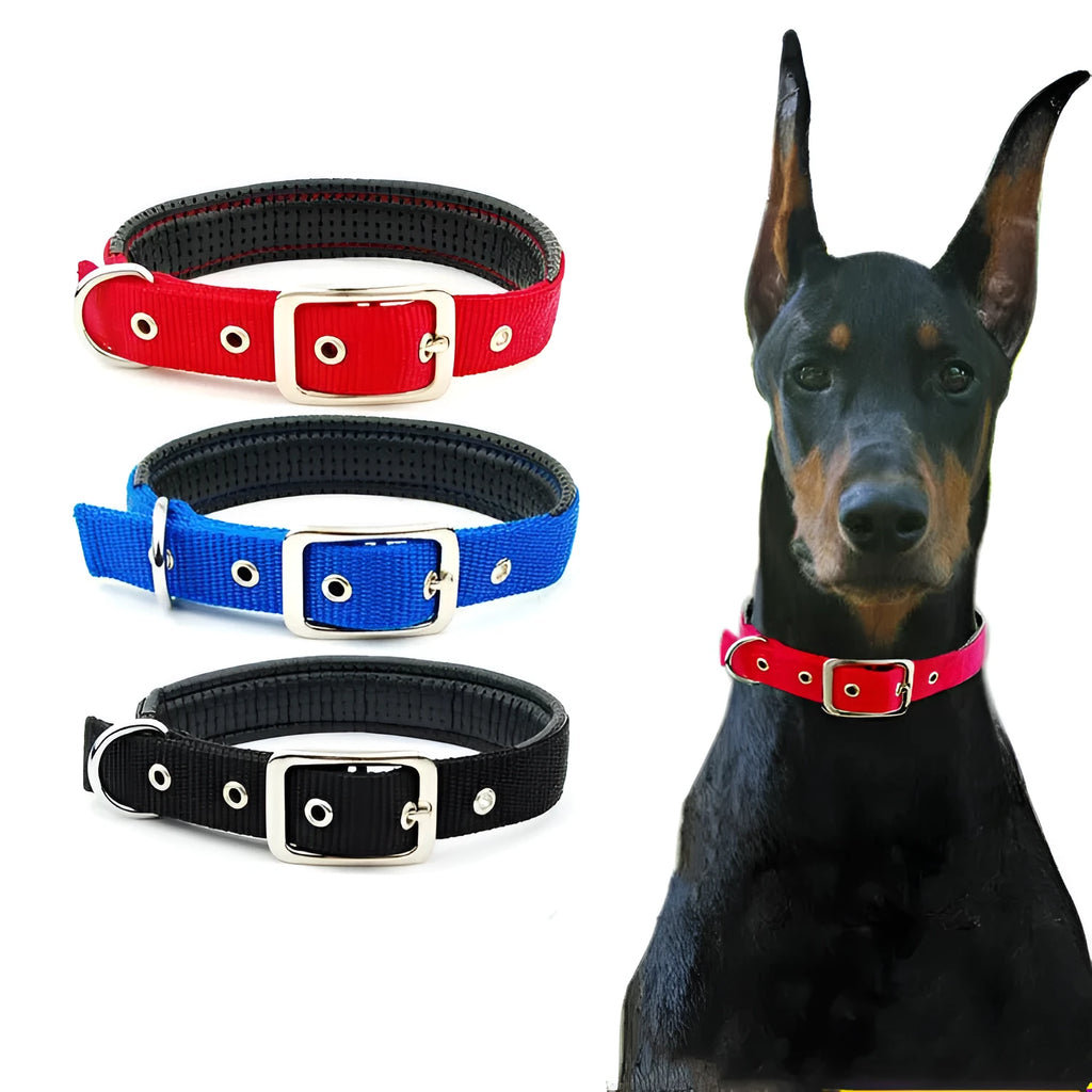 Black nylon reflective dog collar with buckle closure on a light background