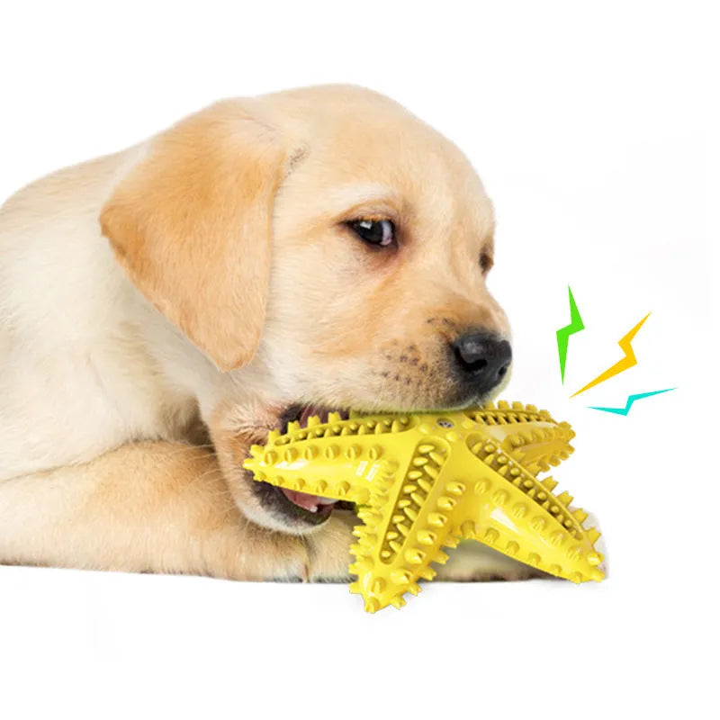 Starfish-shaped TPR dog toy in lake blue for dental cleaning and snack stuffing