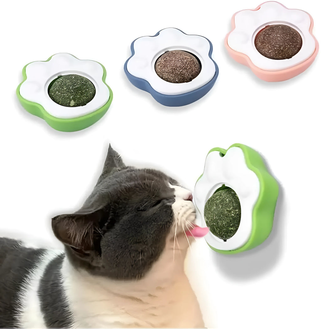 Edible vine catnip ball chew toy for cats in blue, green, or pink colours measuring 45x33x50mm